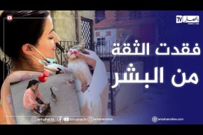 سامية طبوش.. خُذلت من البشر فتوجهت للعناية بالمخلوقات الضعيفة