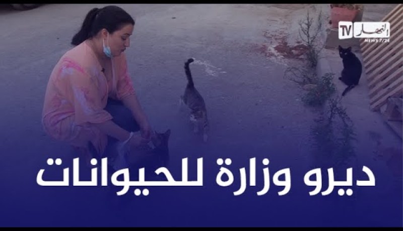 سامية طبوش: الحيوانات فئة من المجتمع..لازم وزارة خاصة بهم لحمايتهم