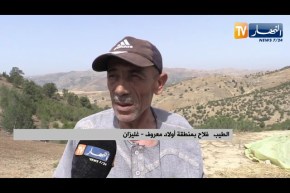 غليزان: منطقة أولاد معروف .. تحدي في الإستثمار الفلاحي يواجهه عدة عراقيل