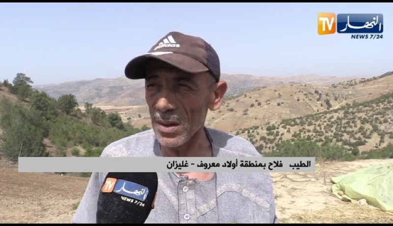 غليزان: منطقة أولاد معروف .. تحدي في الإستثمار الفلاحي يواجهه عدة عراقيل