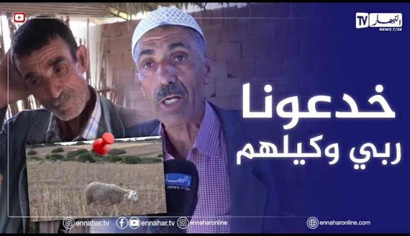 “عين الدفلى: سرقة 75 رأس غنم بدواوير المخاطرية وتاشتة زوقاعة..”ربي ماعطانيش الدراري هوما ولادي