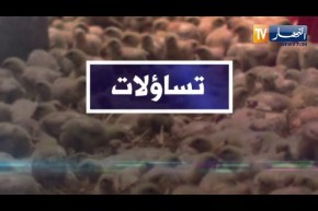 تساؤلات: سلالة جديدة من أنفلونزا الطيور HN5N8 .. هذا ما ينصح به لتفادي إنتشاره