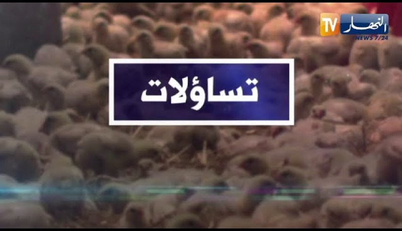 تساؤلات: سلالة جديدة من أنفلونزا الطيور HN5N8 .. هذا ما ينصح به لتفادي إنتشاره