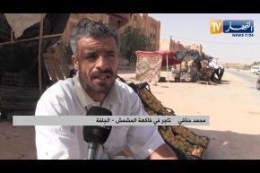 الجلفة: وفرة كبيرة في منتوج المشمش بحاجة للمرافقة والدعم