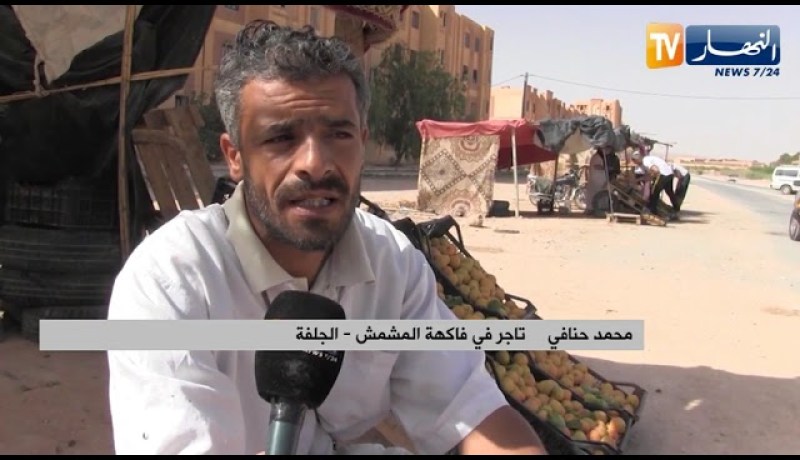 الجلفة: وفرة كبيرة في منتوج المشمش بحاجة للمرافقة والدعم