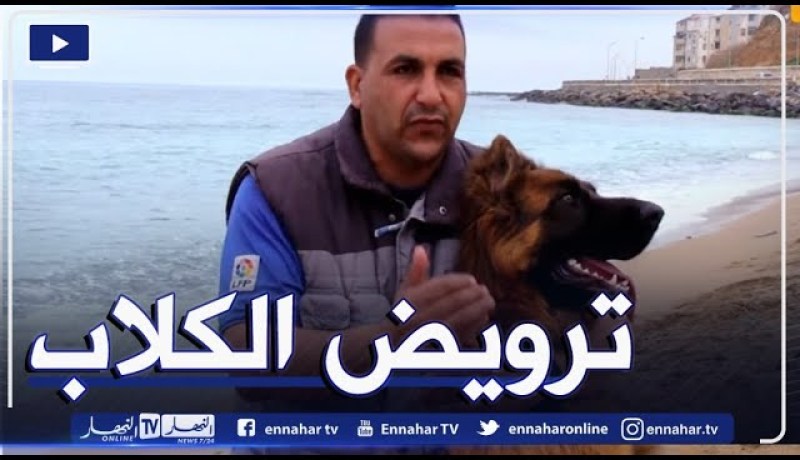 الأساليب المستخدمة في تدريب وترويض الكلاب