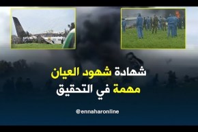 خبير في حوادث الطيران/ “شهادة شهود العيان مهمة جدا في التحقيق حول سبب سقوط الطائرة”