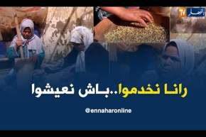 عين الدفلى/ شقيقتان تجعلان من مهن محلية مصدر رزقهن بإجتهادهن المميز