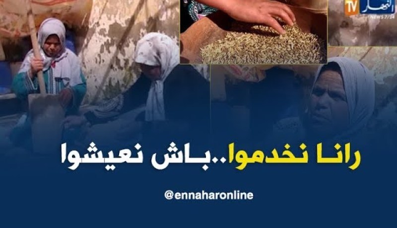 عين الدفلى/ شقيقتان تجعلان من مهن محلية مصدر رزقهن بإجتهادهن المميز