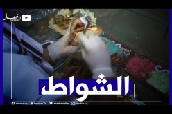 الوادي: Breakfast النهار مع الشاف صادق اللاوي لتحظير “الشواط”