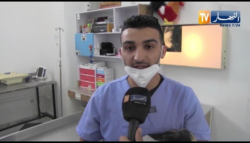 قسنطينة : بياطرة وناشطون يدعون لضرورة حماية الحيوانات ووقف القـ.ـالوفة