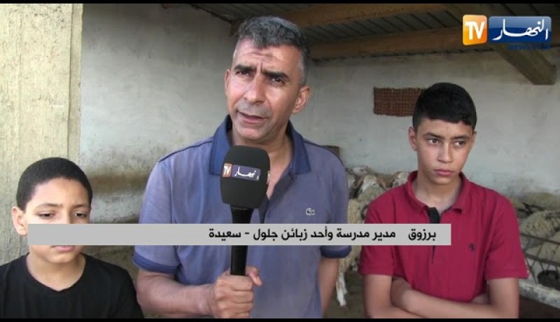 سعيدة: تسمين المواشي “القراسة”.. مهنة جلول قبيل عيد الأضحى