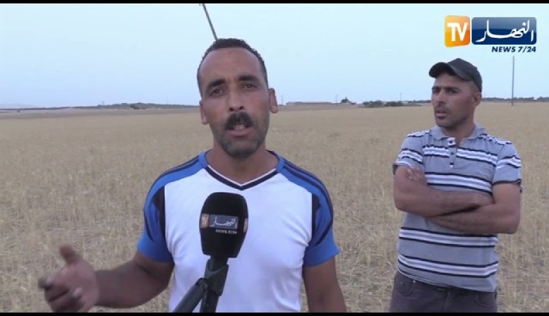 أم البواقي: عمود كهربائي آيل للسقوط يهدد قاطني مشتة