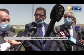 وزير الفلاحة: المضاربة من أسباب ارتفاع أسعار البطاطا