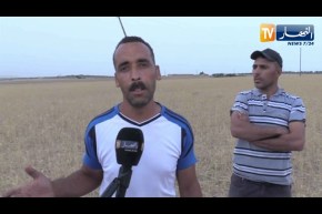 أم البواقي: عمود كهربائي آيل للسقوط يهـ.ـدد حياة قاطني مشتة ذراع قابل المخازن