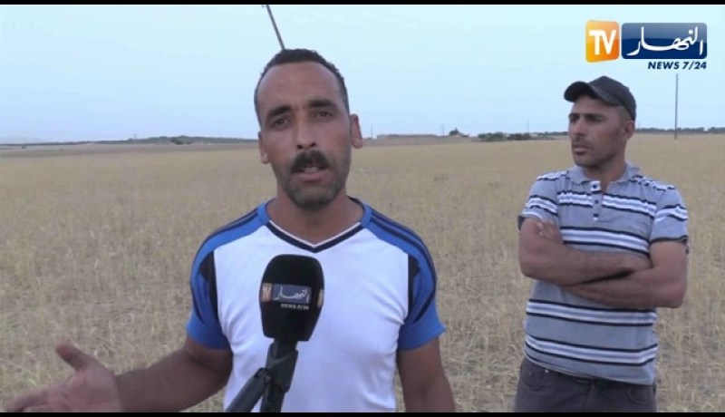 أم البواقي: عمود كهربائي آيل للسقوط يهـ.ـدد حياة قاطني مشتة ذراع قابل المخازن