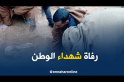 العثور على رفاة شهداء سقطوا في معركة الفرش بالبيض  !!