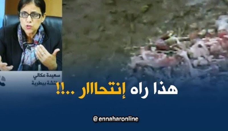 مفتّشة بيطرية : ” أماكن الذبح خالية من التّبريد..و اللحوم البيضاء حسّاسة جدّا بدرجة الحرارة !!”