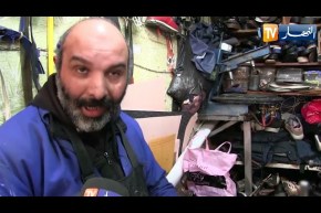 باتنة: إنطلاق حملة جني مشمش منعة وبوزينة مع توقعات إنتاج مرتفعة