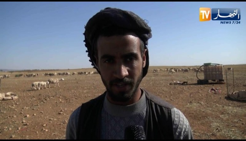 سيدي بلعباس: إسترجاع 440 رأس غنم مسروقـ.ـة ببلدية بوشبكة