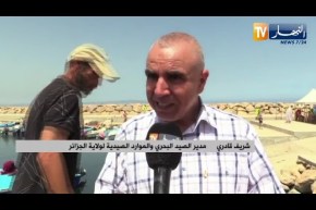 الصيد البحري: حملة لتنقية قاع البحر من الشباك الضائعة علة طول ساحل ولاية الجزائر