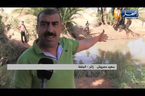 الجلفة: البرك و الوديان..  وجهة الأطفال والشباب للترفيه بعد غلق المسابح