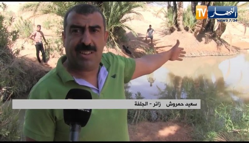 الجلفة: البرك و الوديان..  وجهة الأطفال والشباب للترفيه بعد غلق المسابح