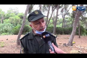 المديرية العامة للغابات تطلق حملة مكافحة حرائق الغابات لموسم 2021