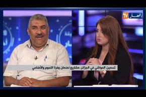تسمين المواشي في الجزائر .. مشاريع لضمان وفرة اللحوم والأضاحي