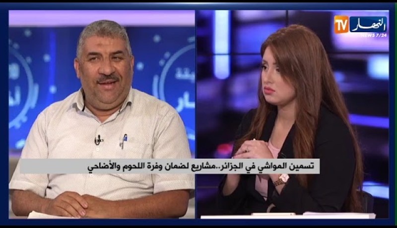 تسمين المواشي في الجزائر .. مشاريع لضمان وفرة اللحوم والأضاحي