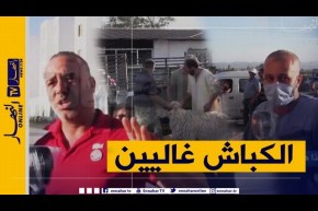 صريح جدا: عنابة ..هكذا هي أسعار الأضاحي في زمن كورونا !