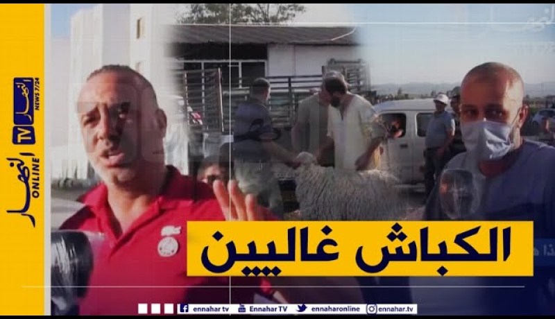 صريح جدا: عنابة ..هكذا هي أسعار الأضاحي في زمن كورونا !