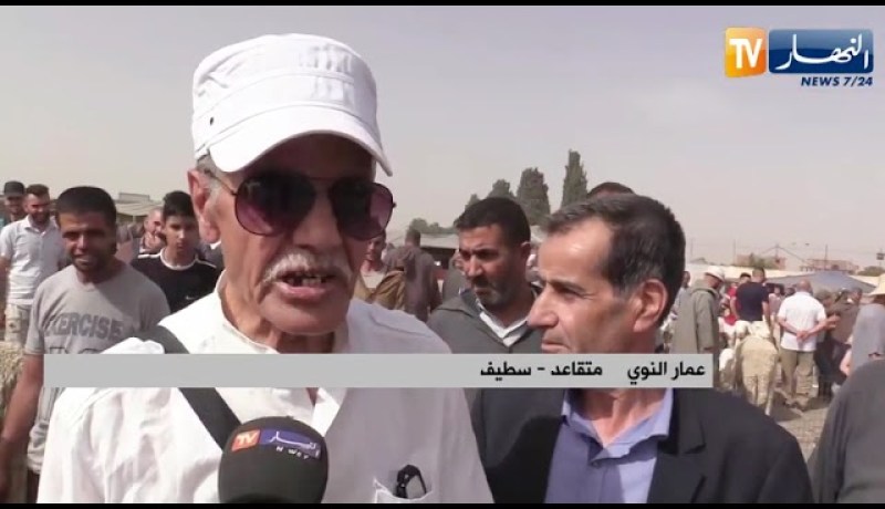 سطيف: إرتفاع أسعرا المواشي .. المواطن متذمر والموال يبرر
