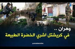 دشرة كريشتل بوهران.. حين تلتقى زرقة البحر بخضرة الغابات