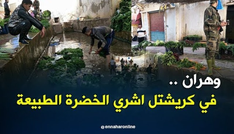 دشرة كريشتل بوهران.. حين تلتقى زرقة البحر بخضرة الغابات