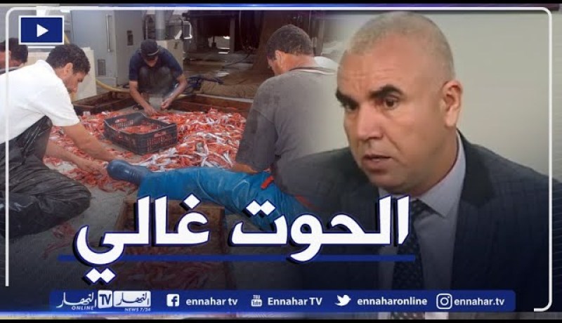 ارتفاع أسعار الأسماك مستمر رغم فتح التحقيقات لمعرفة الأسباب