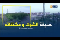 الشيخ النوي: حديقة الشوك بعين تموشنت.. راها مخروبة