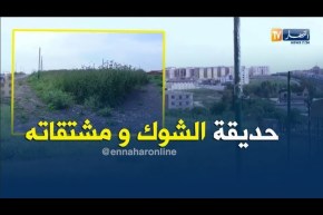 الشيخ النوي: حديقة الشوك بعين تموشنت.. راها مخروبة