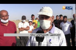 بسكرة : حرث وبذر أراضي بالتويزة بزريبة الوادي