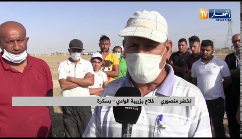 بسكرة : حرث وبذر أراضي بالتويزة بزريبة الوادي