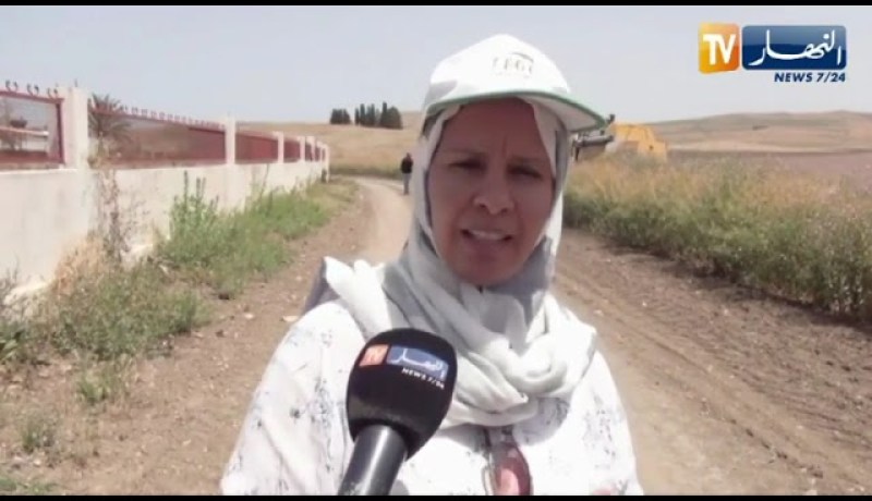 ميلة : تأجيل إنطلاق موسم حصاد السلجم الزيتي بسبب الرطوبة المرتفعة