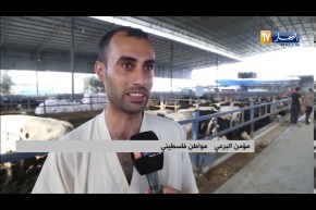 فلسطين: الجزائر حاضرة بدعمها سكان غزة يصرون على نحر الأضاحي