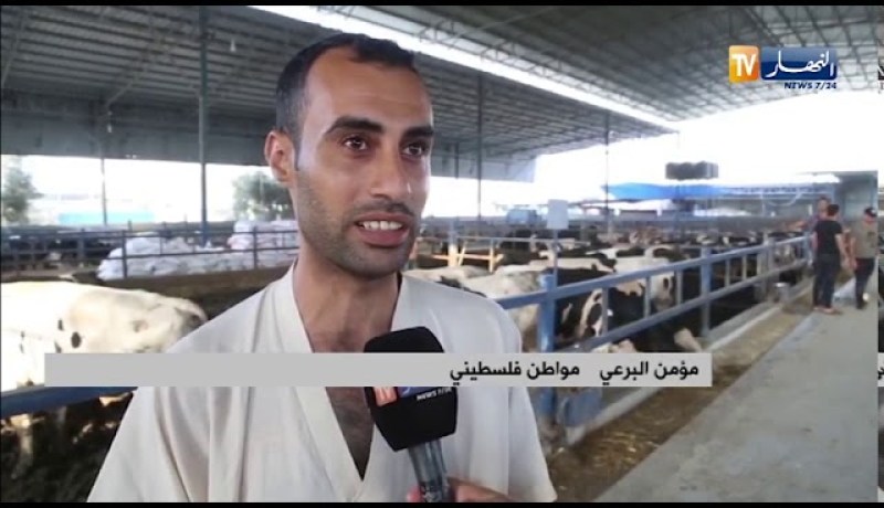 فلسطين: الجزائر حاضرة بدعمها سكان غزة يصرون على نحر الأضاحي