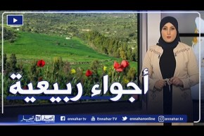 وضعية جوية مستقرة.. طقس ربيعي وأجواء مشمسة على أغلب الولايات