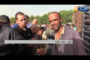 قالمة: إلتهاب أسعار المواشي.. الموالون يبررون