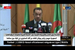وزير العمل يفتتح ورشة إقليمية حول ” الشبكة العربية لمعلومات أسواق العمل “