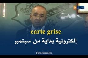 وزير الداخلية  : سيتم إطلاق البطاقة الرمادية  الإلكترونية بداية من شهر سبتمبر المقبل