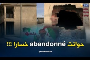 الشيخ النوي: تقول راك في بنغلاداش ماشي في الطارف