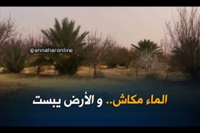 بشار: منطقة لعوينة بتاغيت تعاني من مشكل نقص المياه