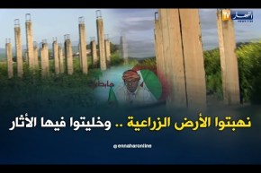 الشيخ النوي: آثار الإمبراطور ذيبو بوليس بقالمة